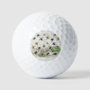 Bienenkleiferin Königin Bienen Antike Golfball
