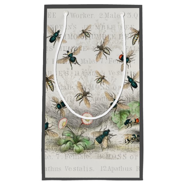 Bienenkleiferin Königin Bienen Antike Kleine Geschenktüte (Vorderseite)