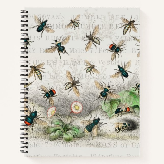 Bienenkleiferin Königin Bienen Antike Notizbuch (Vorderseite)