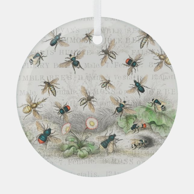 Bienenkleiferin Königin Bienen Antike Ornament Aus Glas (Vorderseite)