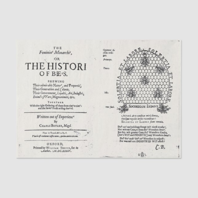 Bienenkönigin 1609 Veröffentlichung Seidenpapier (Vorderseite)