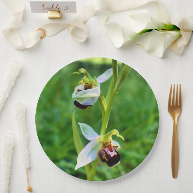 Bienenorchid-Papierplatte Pappteller (Hochzeit)