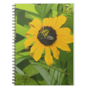 Bienenrückhaltung in einem Blume-Foto-Notebook Notizblock