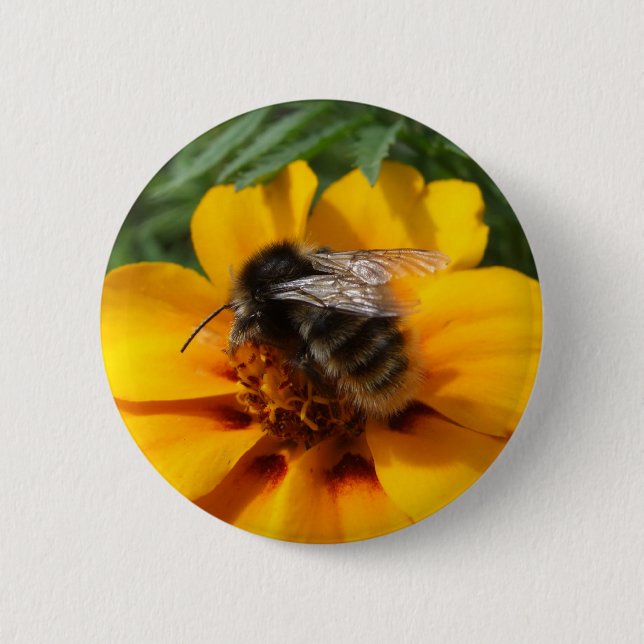 Bienenschaltfläche Button (Vorderseite)