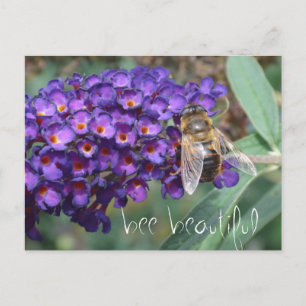 Bienenschön Postkarte