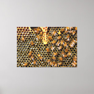 Bienenschwarm auf Honigwabenwabe Leinwanddruck