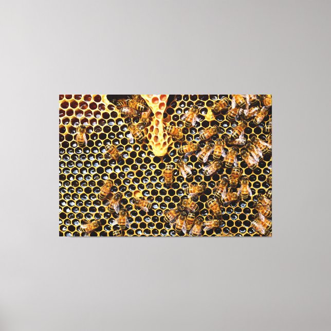 Bienenschwarm auf Honigwabenwabe Leinwanddruck (Vorderseite)
