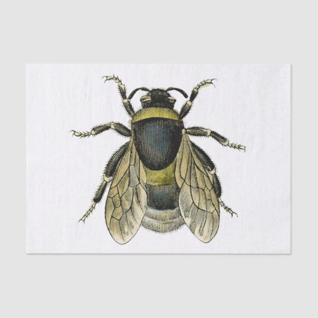 Bienenstil Seidenpapier (Vorderseite)