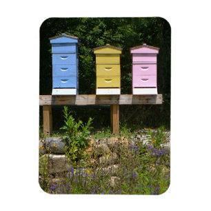 Bienenstock Magnet