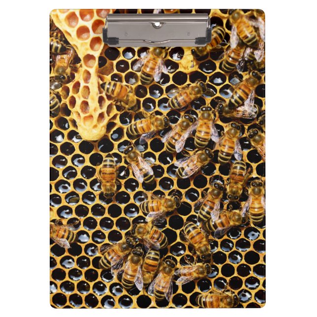 Bienenstock mit Honeycomb Nah Klemmbrett (Vorderseite)