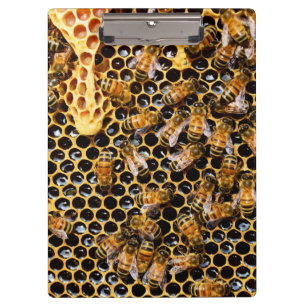 Bienenstock mit Honigwabenbäumen Nah Klemmbrett