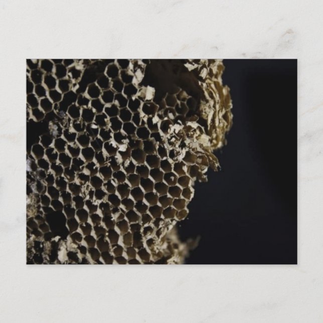 Bienenstock Postkarte (Vorderseite)