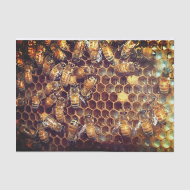 Bienenstock Seidenpapier (Vorderseite)