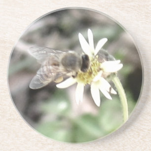 Bienenstock-Untersetzer Sandstein Untersetzer