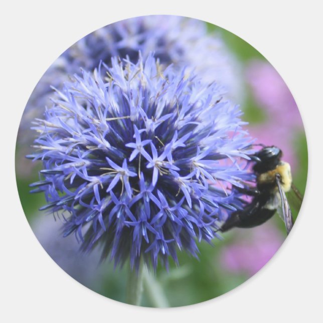 Bienenstockkleber Runder Aufkleber (Vorderseite)