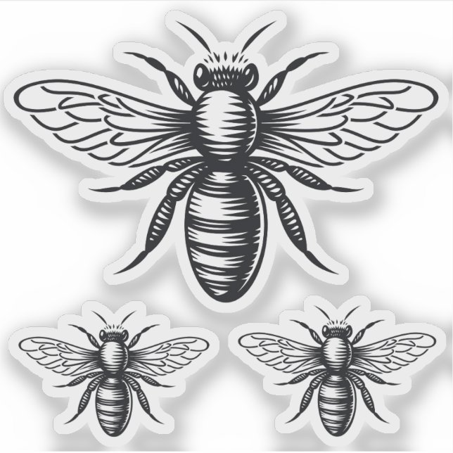 Bienenvinylaufkleber Aufkleber (Vorderseite)