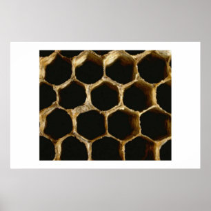 Bienenwabe Poster