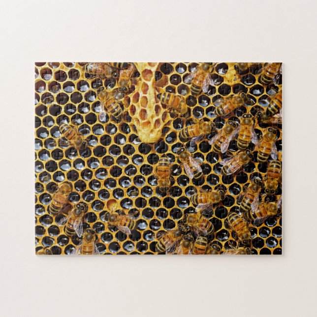 Bienenwabe und Bienen (Horizontal)