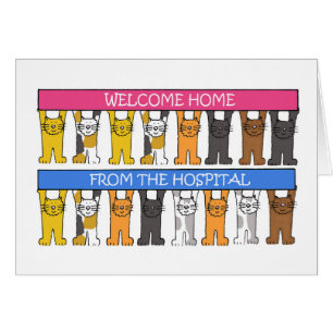Bienvenue à la maison de l'hôpital Cartoon Cats