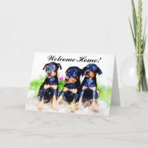 Bienvenue Accueil Chiots de Doberman Carte de voeu
