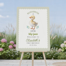 Bienvenue pour le 1er anniversaire de One Silly Go