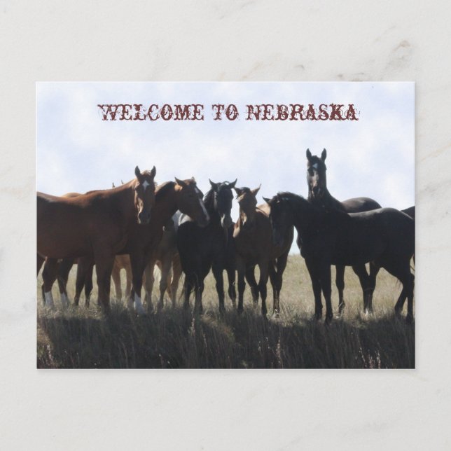 Bienvenue Sur La Carte Postale Nebraska (Devant)