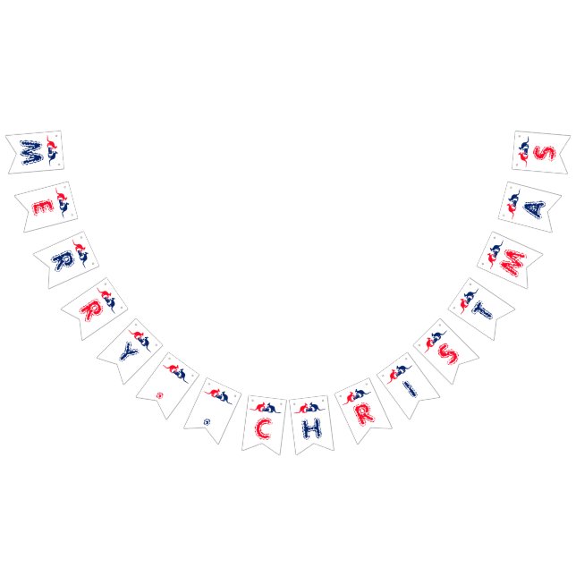 Bière Kangaroo, drapeau australien, fête de Noël (Tout)