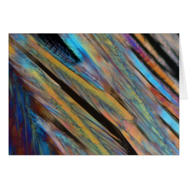 Bière sous le microscope (Devant horizontal)