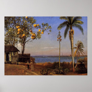 Bierstadt Albert einen Ausblick auf die Bahamas Poster