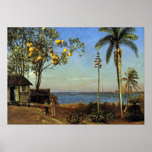 Bierstadt - Eine Ansicht auf den Bahamas Poster