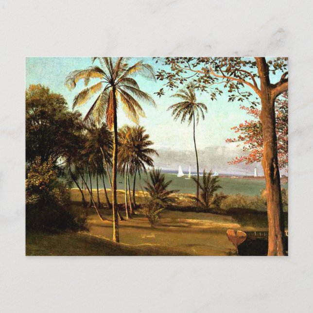 Bierstadt - Florida Scene Postkarte (Vorderseite)