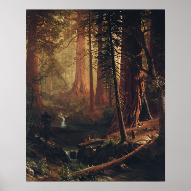 Bierstadt - kalifornische riesige Redwood-Bäume Poster (Vorne)