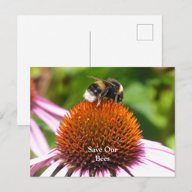 BIES POSTKARTE (Vorne/Hinten)