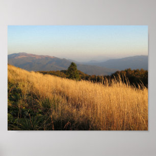 Bieszczady Połonina Caryńska Poster