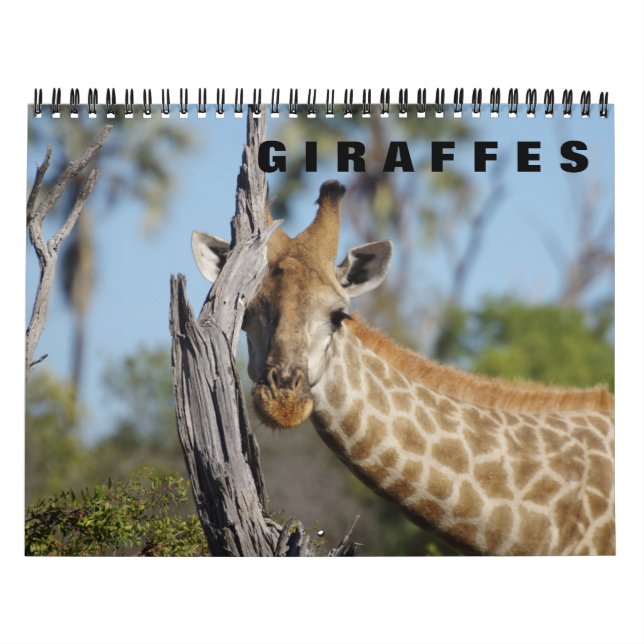 BIETET einen Kalender 2019 (Titelbild)