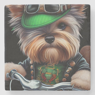 Biewer Terrier Hund fährt Fahrrad St. Patrick's Da Steinuntersetzer
