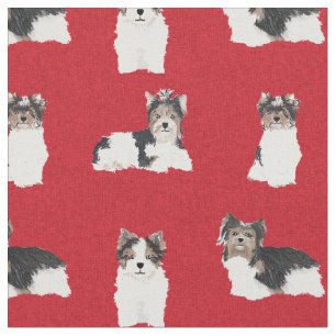 Biewer Terrier Hund, rote Weihnachtssternis Stoff