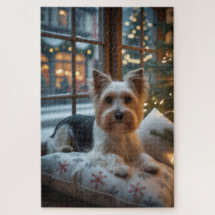 Biewer Terrier mit Weihnachtsbeleuchtung Ferien