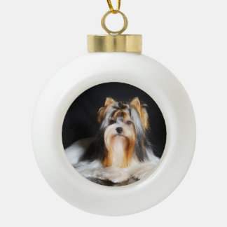 Biewer Terrier Weihnachtsschmuck Keramik Kugel-Ornament