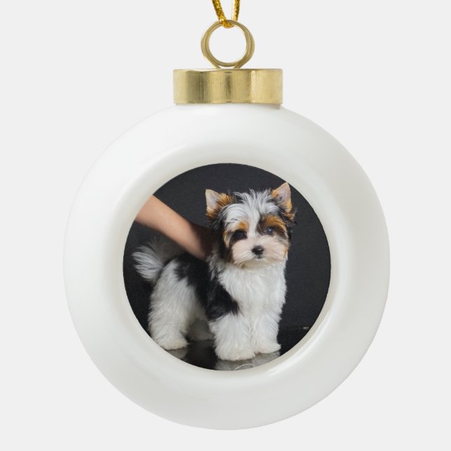 Biewer Terrier Weihnachtsschmuck Keramik Kugel-Ornament (Vorderseite)