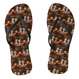Biewer Terrier Welpe Herbstfreude Kürbis Flip Flops