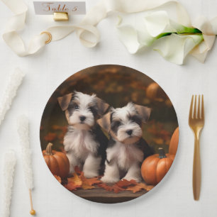 Biewer Terrier Welpe Herbstfreude Kürbis Pappteller
