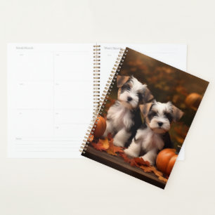 Biewer Terrier Welpe Herbstfreude Kürbis Planer