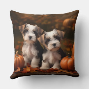 Biewer Terrier Welpe Herbstvergnügen Kürbis Kissen