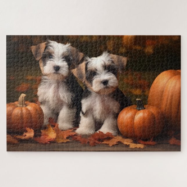 Biewer Terrier Welppy Autumn Delight Pumpkin (Horizontal)