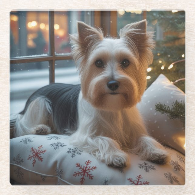 Biewer Terrier With Christmas Lights Holiday Glasuntersetzer (Vorderseite)