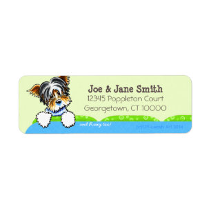Biewer Yorkie Blue Couch Name Personalisiert