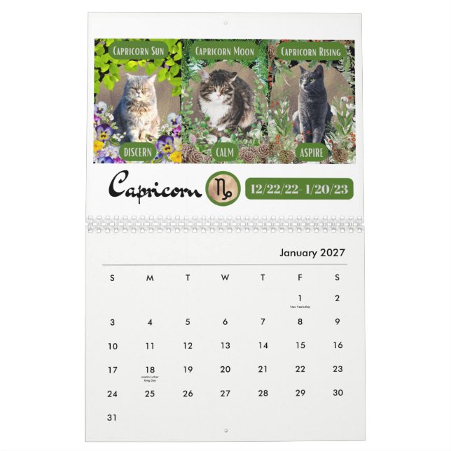 Big 3 Zeichen als Katzen im Garten 2023 Kalender (Jan 2027)