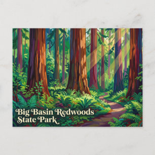 Big Basin Redwoods State Park Kalifornien Postkarte