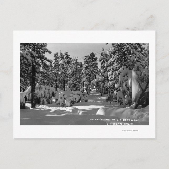 Big Bear Lake, CA im Winter Snow View Postkarte (Vorderseite)